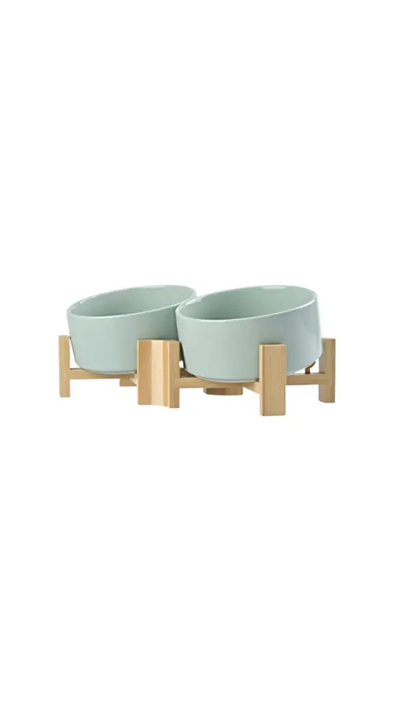 Double Ceramic Bowl With Plastic Stand