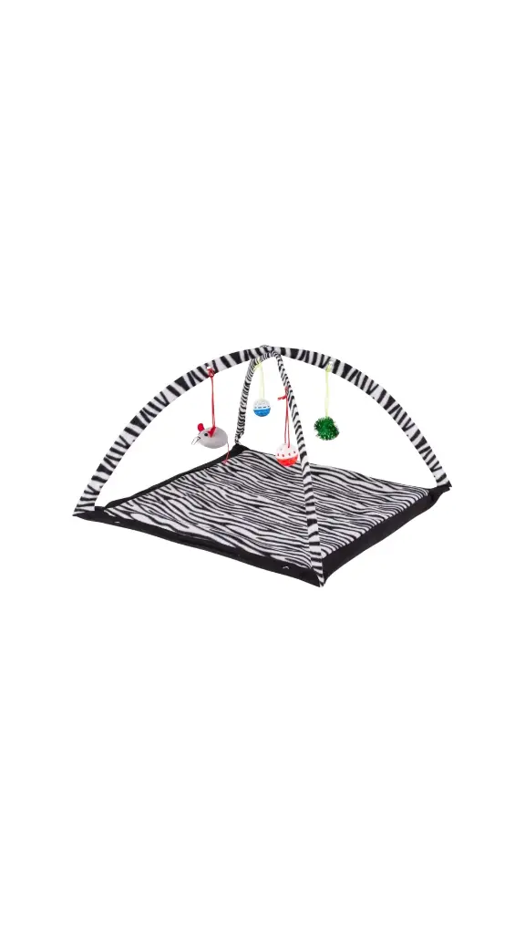 Cat Mat with hanging Toy
