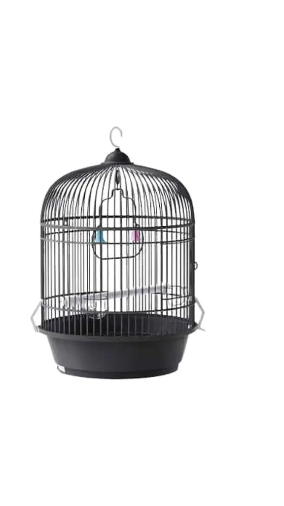 Bird Cage S