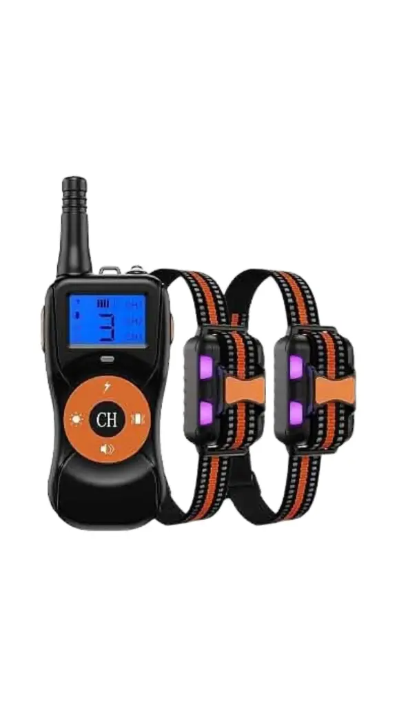 Training Collar