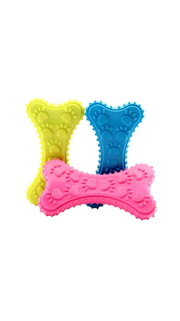 Canine Rubber Bone Toy