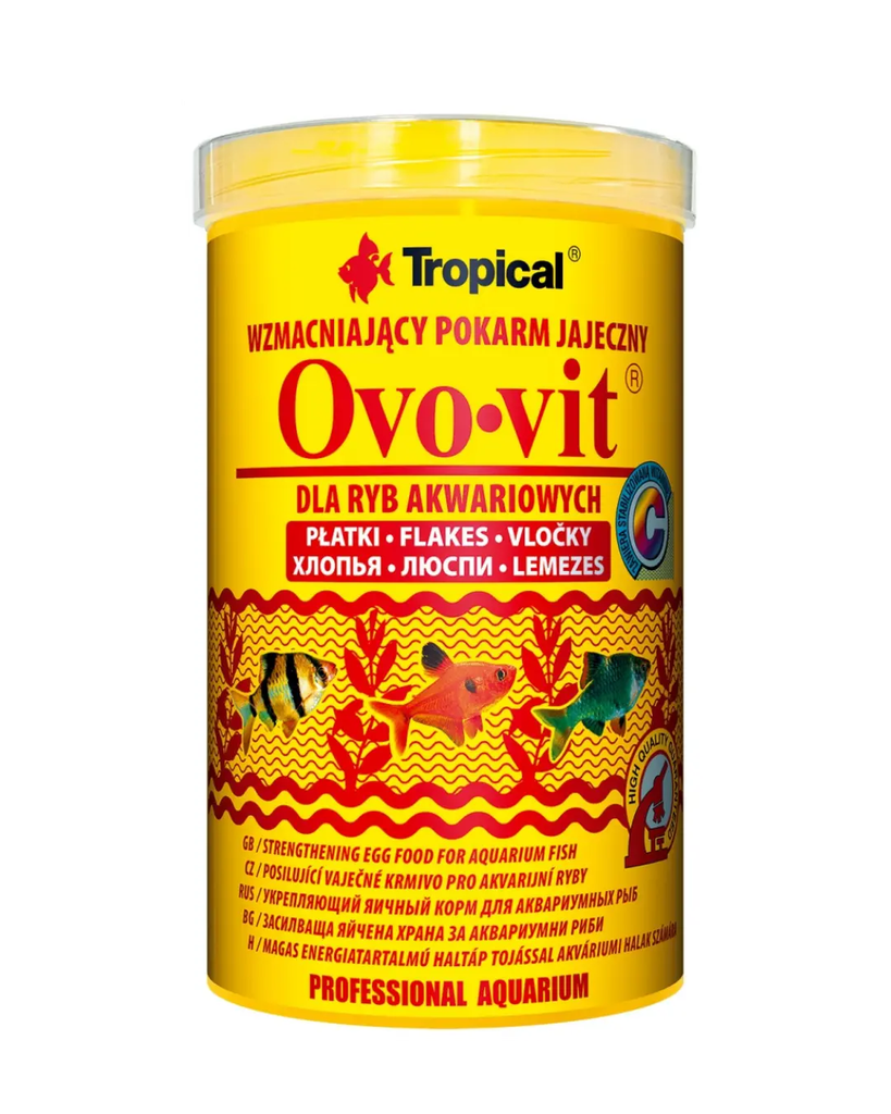 Tropical Ovo - Vit