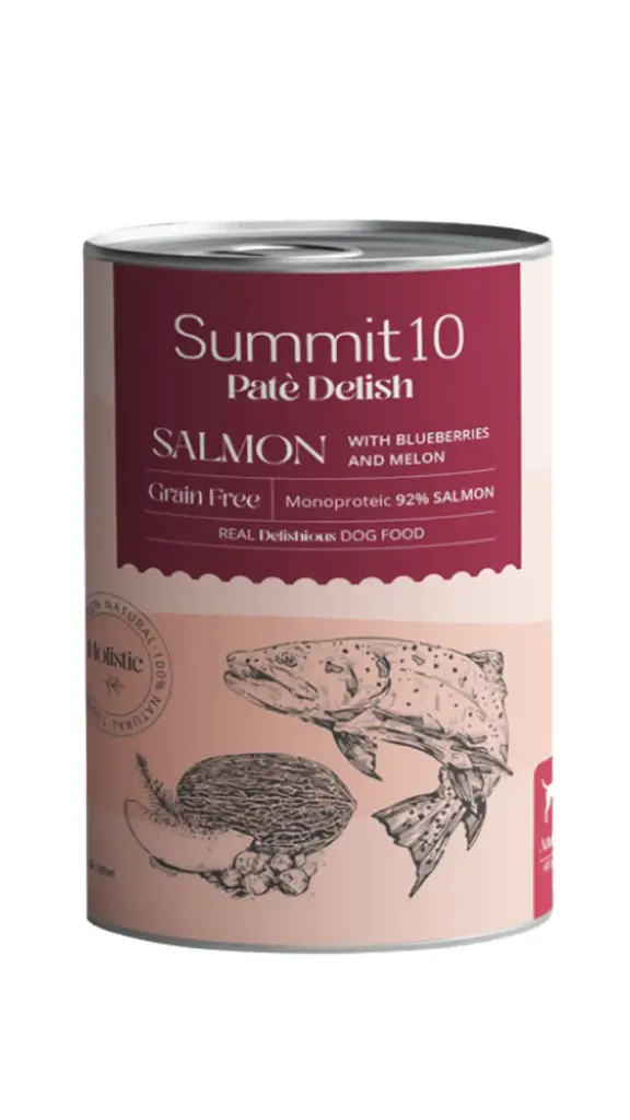 Summit 10 Pate Delish with Salmon 400g