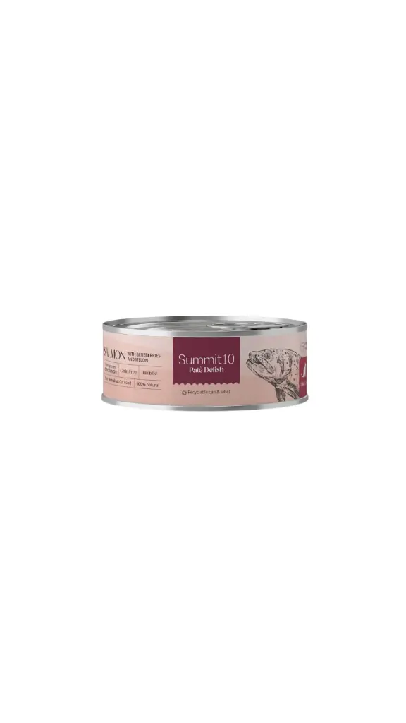 Summit 10 Pate Delish With Salmon 85g