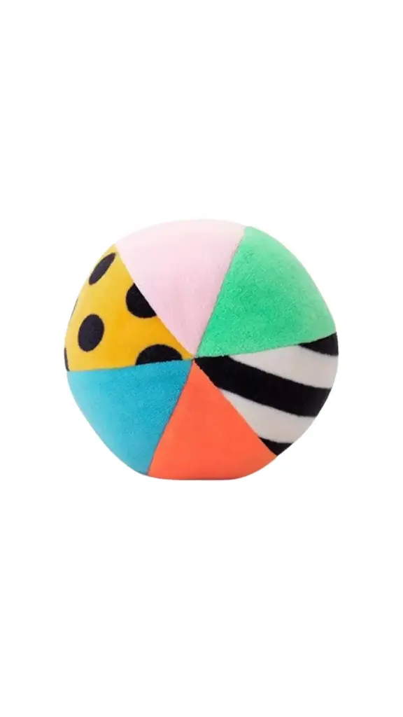 Pet ball Toy