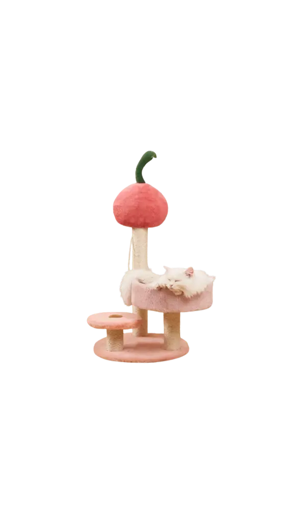 Cherry cat tree scratcher 