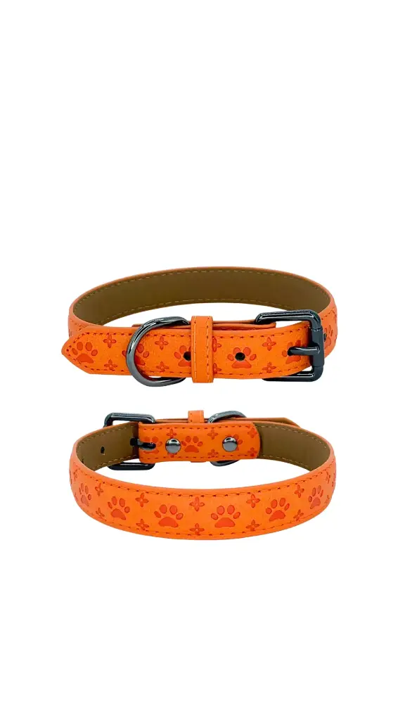 Paw print Dog collar
