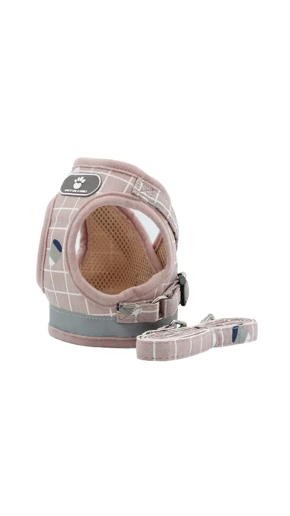 Breathable mesh harness and leash