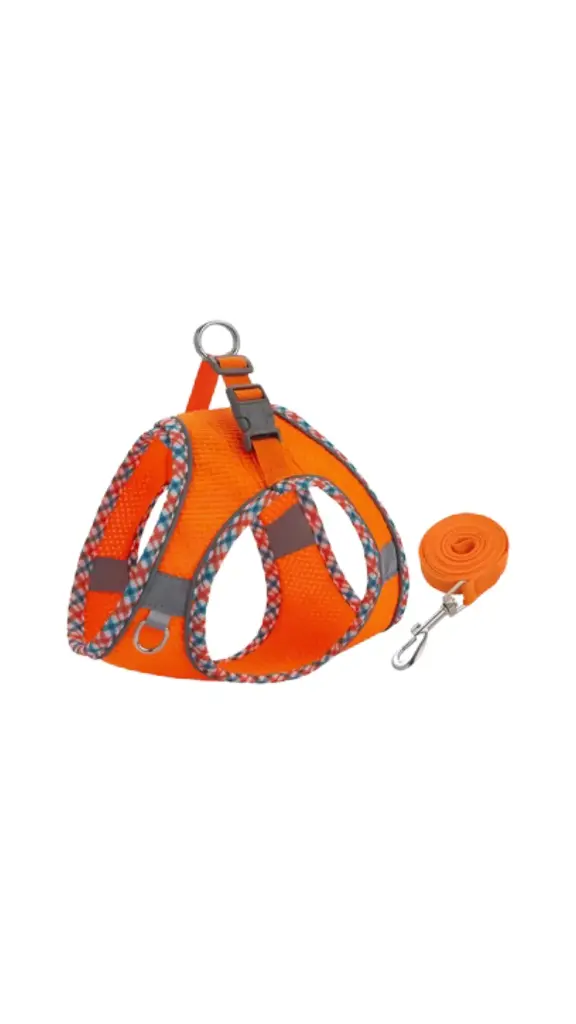 Mesh fabric harness and leash