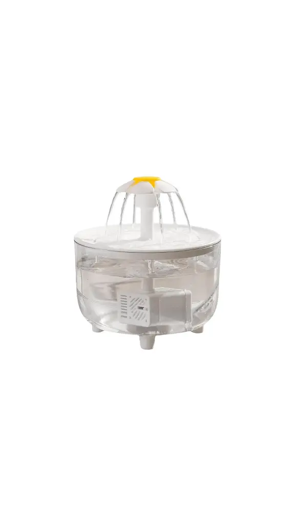 Transparent water fountain