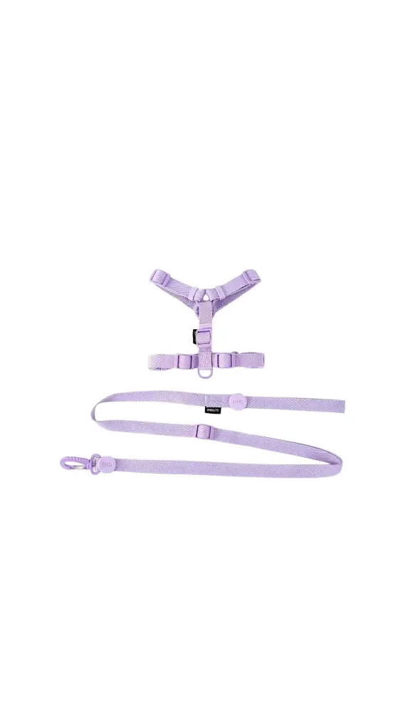 Pastel Strap Harness