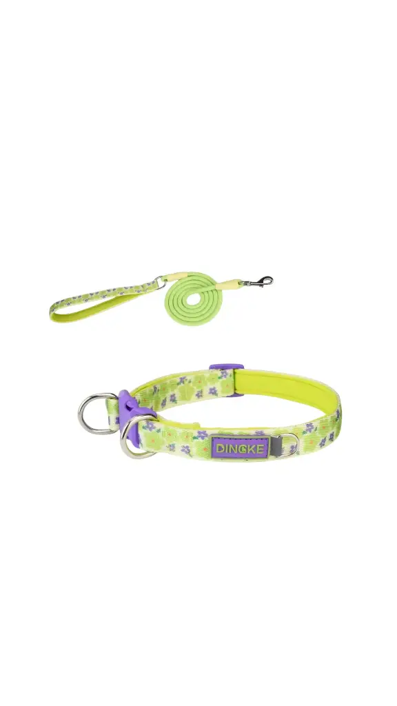 Lovely Pet Leash & Collar M