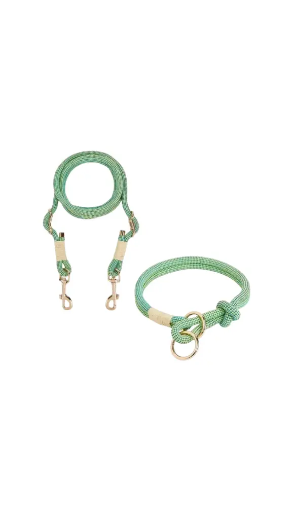 Multi-Functional Pet Leash M