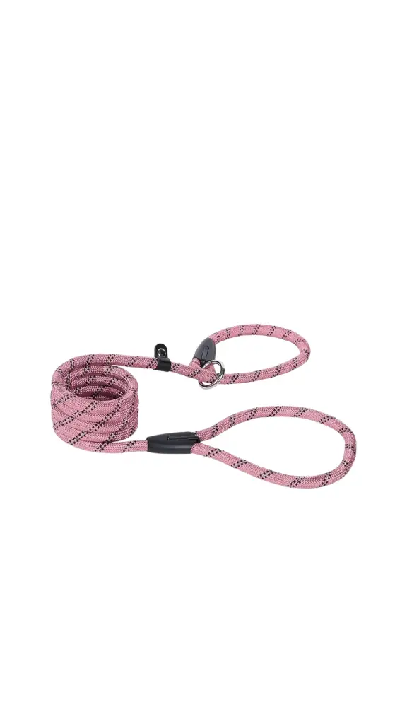 Heavy Duty Dog Leash & Collar 