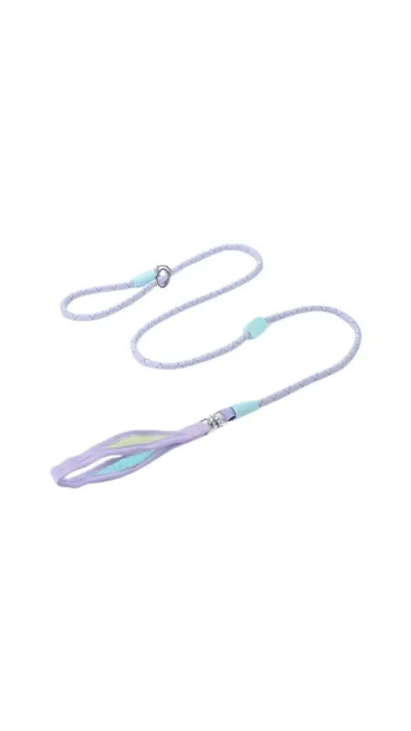 Complete Leash & Collar S
