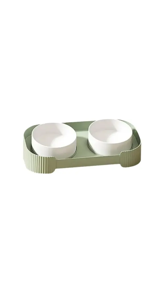 Ceramic Elevated double Bowl