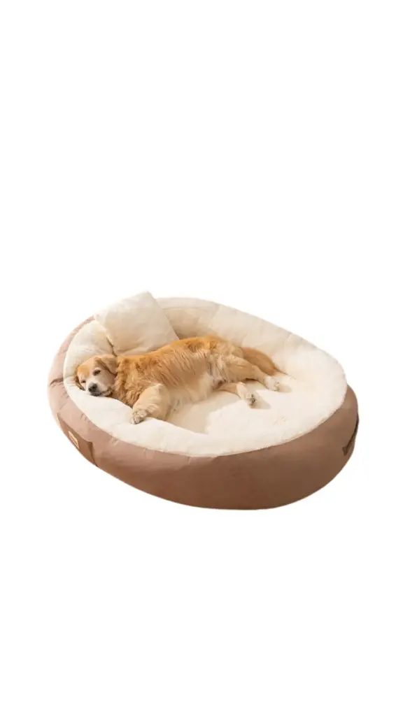 Oval Dog Bed