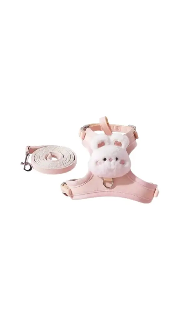 Face Cat harness and Leash S