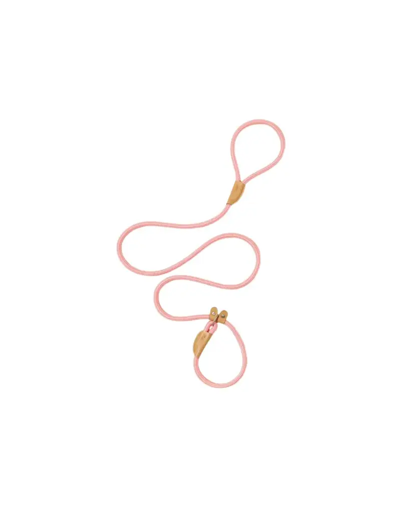 Hand Free Dog Leash And Collar L