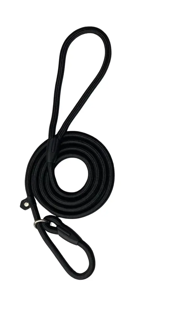 Strong Nylon Slip Dog Leash
