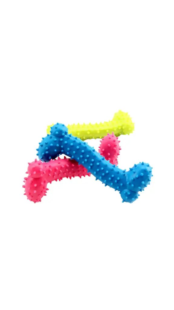 Chew Dog Toy