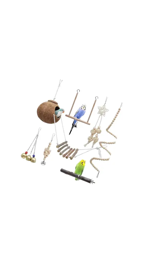 Bird Parrot Bells Swing Toy
