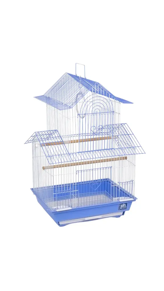 Flying Bird Cage Medium