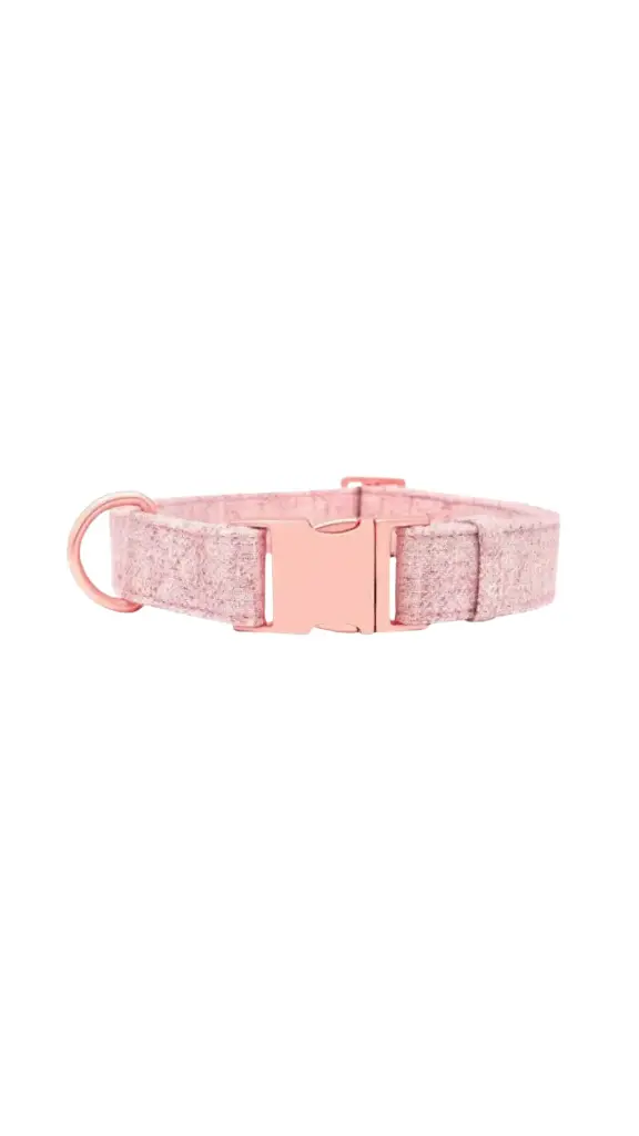 Dog Collar S, M, L