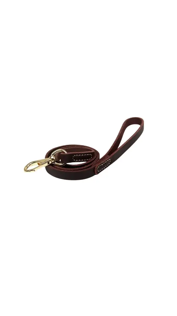 Leather Leash S