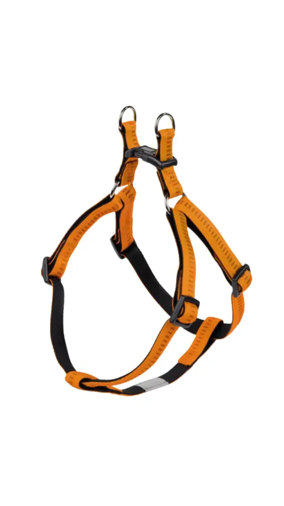 Soft Grip Leash and Harness Large