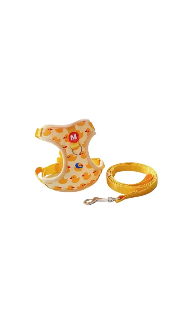 M Harness and Leash S, M, L, XL, XXL