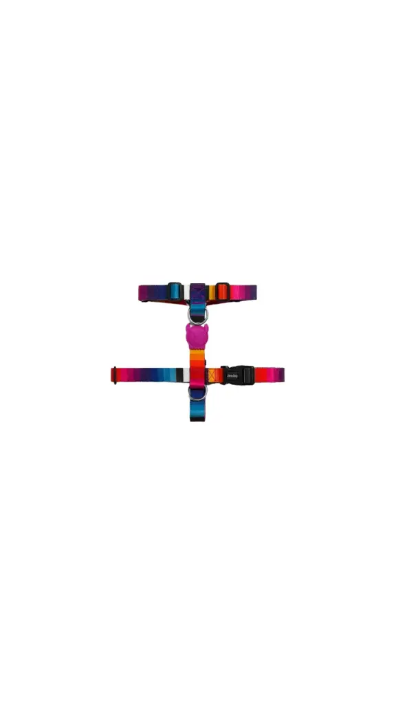 Multicolor Cat Harness & Leash