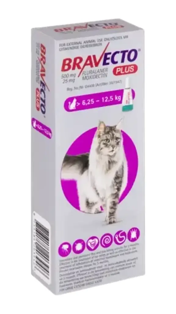 Bravecto Plus for Cat >6,25-12,5 kg