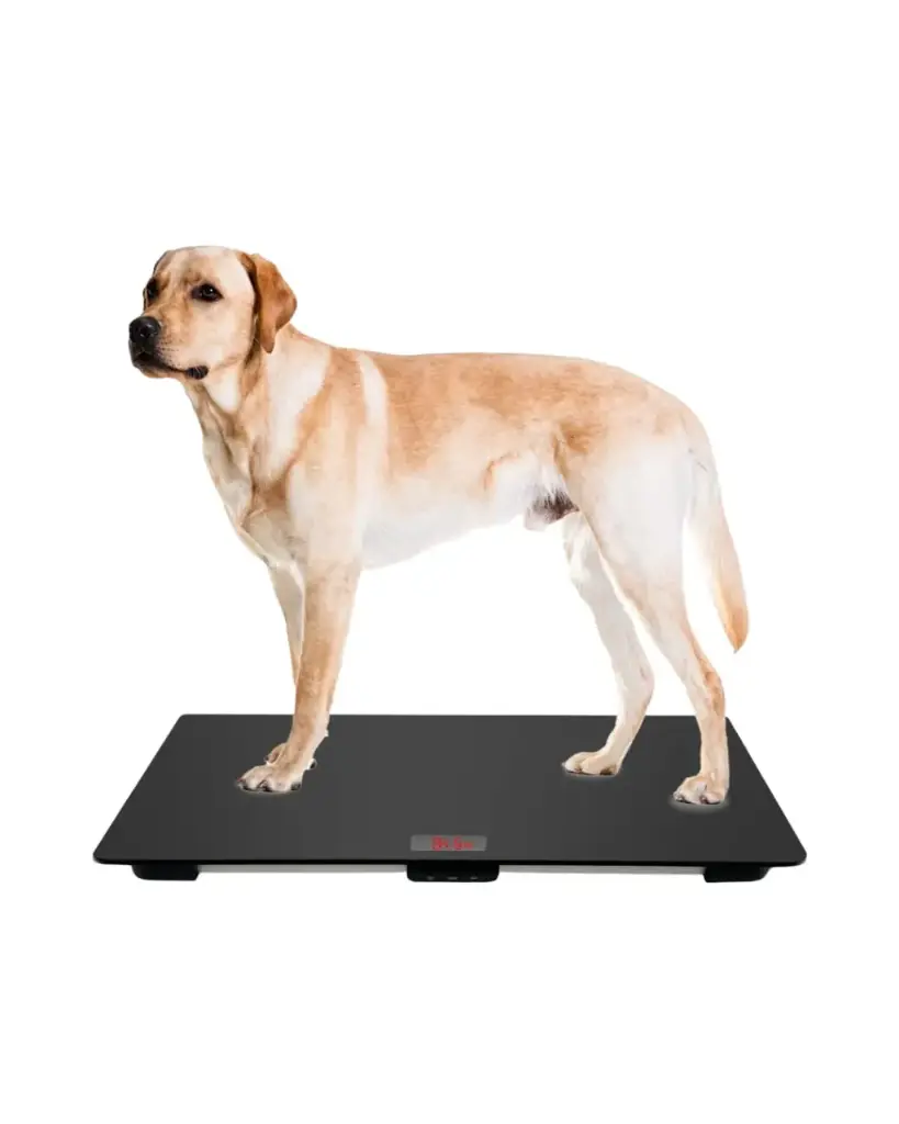 Dog Weighing Scale