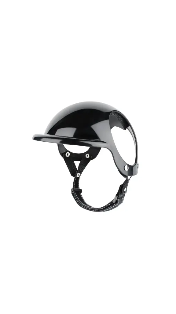 Pet Motorcycle Hat