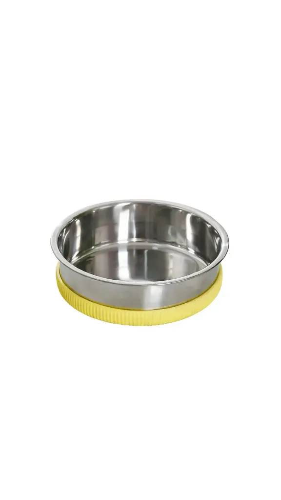 Stainless steel bowl with plastic Base