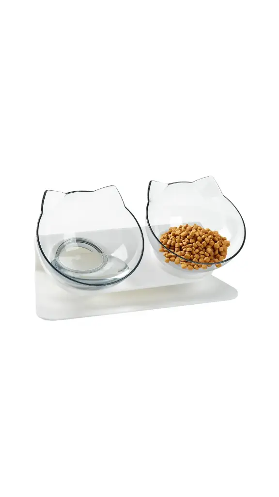 Transparent Cat Eating Double Bowl