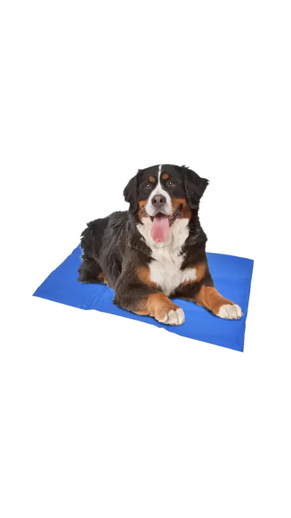 Cooling Mat  ( Blue ) L